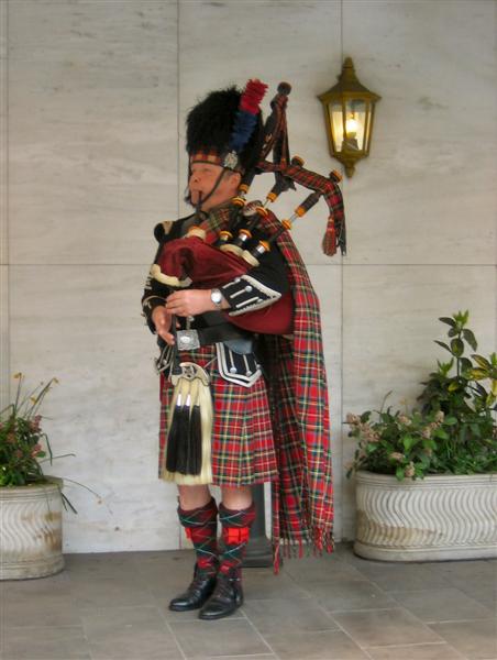 Scotland 6595